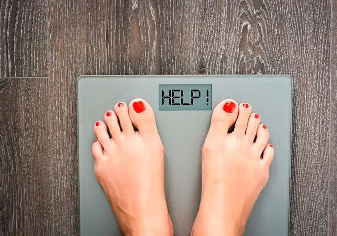 SecretDiet natürliche Inhaltsstoffe und pflanzliche Wirkstoffe