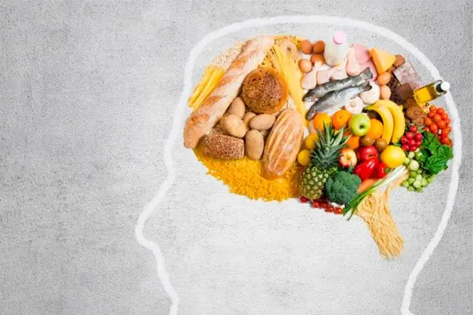 SecretDiet Stoffwechsel und Fettverbrennung Wirkung