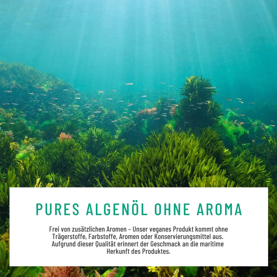 NATURTREU Omega 3 Vegan from Algae Oil - 1000 mg Omega 3 Algae Oil from Sustainable Cultures - Microalgae Oil High Dose DHA & EPA in Optimal Ratio - L Bild 3